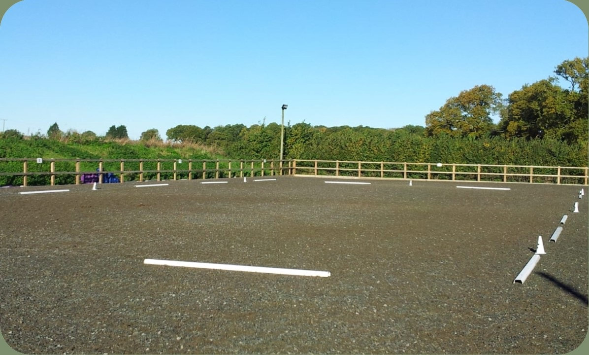 Our arena with is supportive work surface provides an excellent place to begin the dynamic walking rehab