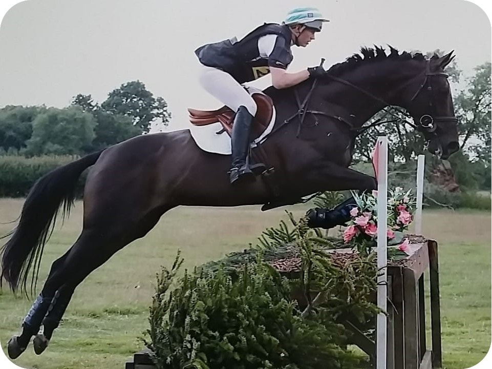 Healthy happy horse back competing after rehabilitation